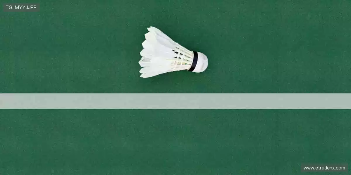 🏀装备升级,战力全开!专业品质,助力每一次突破🚀